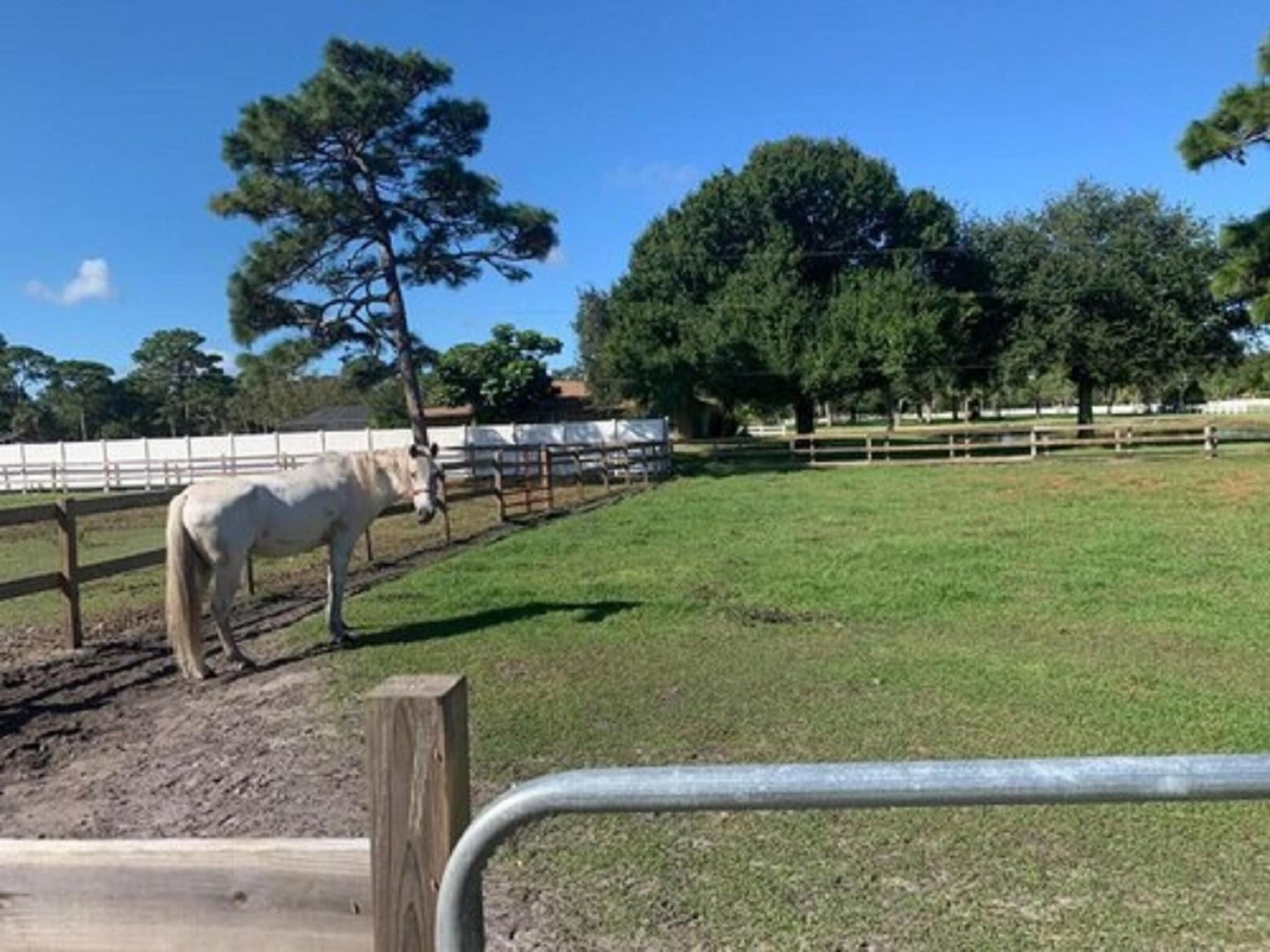 Oyo Family Ranch At Melbourne Fl Hotel Luaran gambar